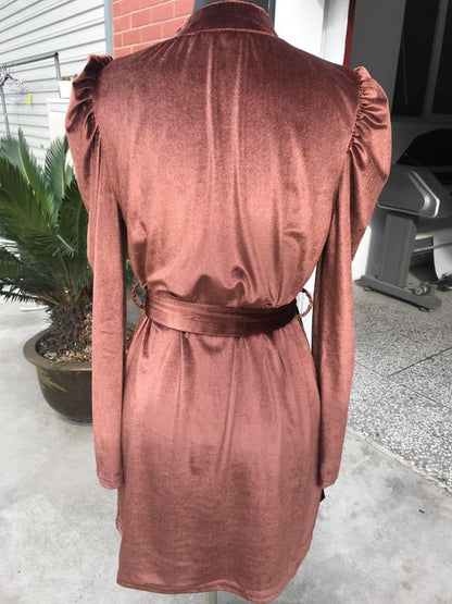 Robe en Velours Doré à Manches Bouffantes – Élégance Automne/Hiver